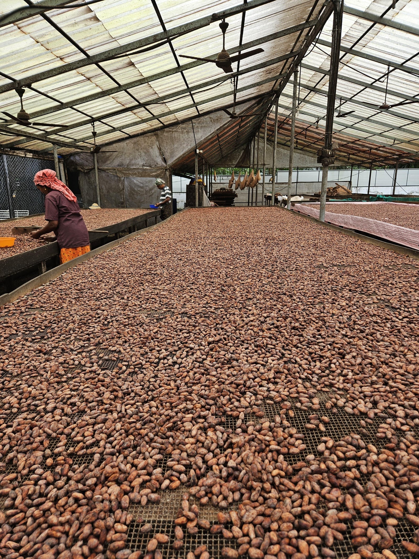 Handcrafted bean-to-bar chocolate making process Gurgaon India